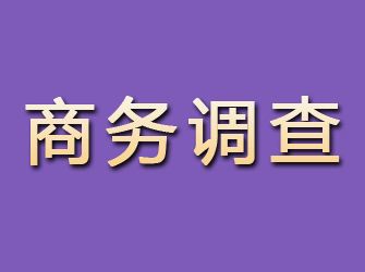 高唐商务调查